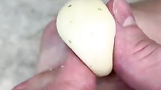 The Coconut