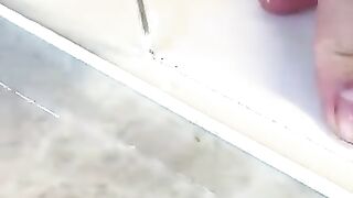 The Delicious Purse