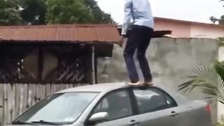 Funny shorts 9