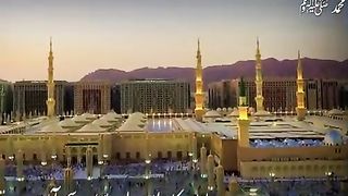 videos 84
