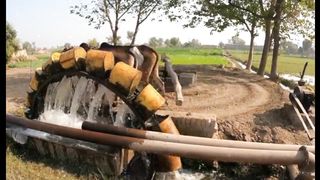 Punjabi Culture