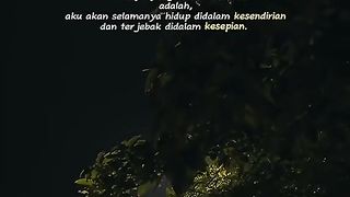 View at night