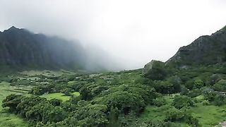 Nature 122