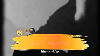 video 230