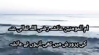 Surah_Ikhlas_Ki_Fazilat_|_Hadees_|_Friday_Status_#quran_#hadees_#youtubeshorts_#trendingshorts(240p).
