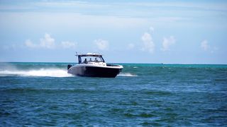"Yacht d'Aventure : À la Poursuite de l'Inattendu"