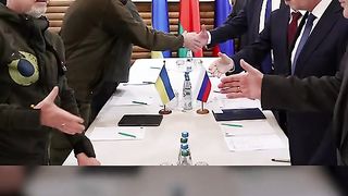 ФЕЙГИН ШОРТС 37