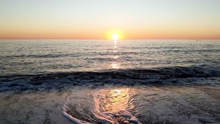 "Sous le Soleil des Palmiers : Une Évasion Paradisiaque"