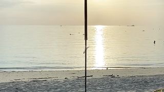"L'Art de la Photographie : Capturer la Beauté de la Nature"