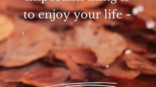Quote of life 3