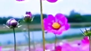 درود ابراہیمی مکمل خوبصورت ویڈیو