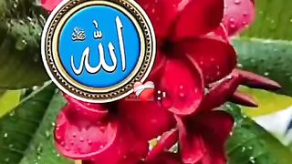 Beautiful Quranic Verse With Nature