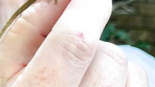 Funny | The Hilarious Dancing Lizard Guy: Grooving in Style! | FunFM