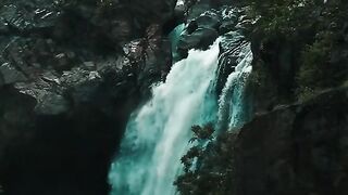 The wonder of nature