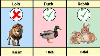 Halal and Haram Animals meat in .