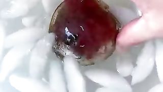 The Delicious Swan