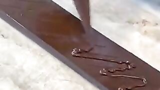 Chocolate Dove