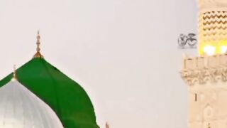اک میں ہی نہیں ان پر قربان زمانہ ہے 2