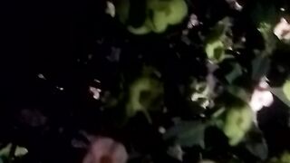 Animal lover 5