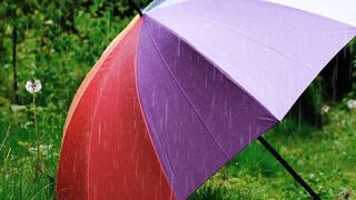 World Facts About France's Oldest Umbrella Shop