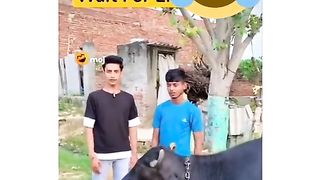 Funny video