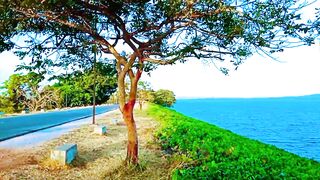 Kandala Dam