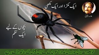 Allama iqbal best poem for Children|Iqbal Shayari|Iqbal poetry|Urdu Nazam-Aik Makra Aur Makhhi