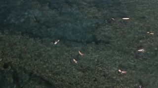 Swimming 4K