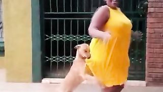 Le chien 2