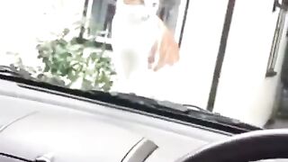 Cat surprised by horn