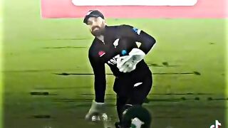 The brilliant performance by shaheen shah afridi