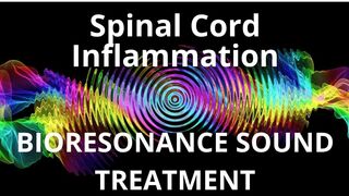 Spinal Cord Inflammation_Sound therapy session_Sounds of nature