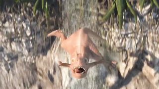 Dinosaurs Jurassic World Dominion: T-rex, Indominusrex, Giganotosaurus, Carnotaurus, Mosasaurus