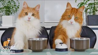 Teaching my cats to ring a bell