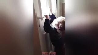 Funny Videos | Instant Regret | Fails Of The Week | Fail Compilation | Fails | RandomFails 58
