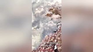 Funny Videos | Instant Regret | Fails Of The Week | Fail Compilation | Fails | RandomFails 69
