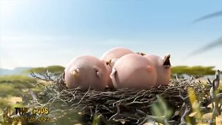 funny birds 3