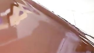 Chocolate Pelican