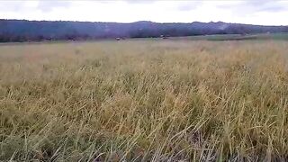 Pemandangan yang sangat indah