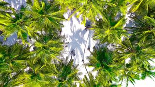 "L'Eden sur Terre : Les paysages incroyables des Maldives"