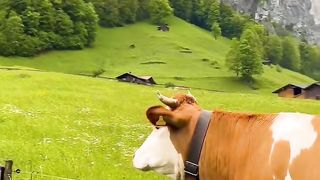 Swetzerland