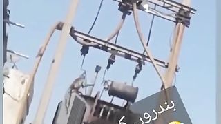 Monkeys video