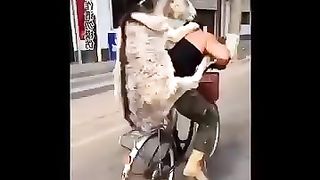 Face book funny video