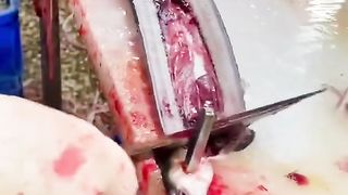 大连的海鲜