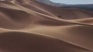 3 Facts About Desert