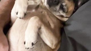 Funny | Wife Says He Sounds Just Like Me - My Boy: A Hilarious Voice Twin! | FunFM