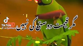 Dost to bohet Hotei hi