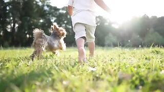 Little boy playing with dog
