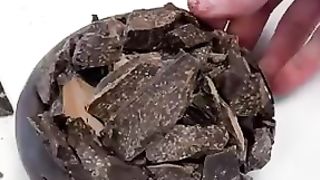 Chocolate Nautilus