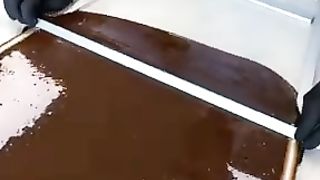 The Delicious Sea Turtle
